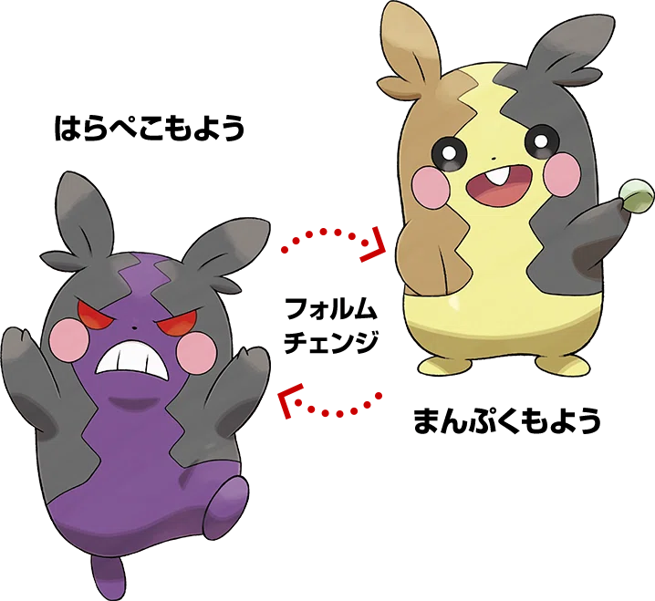 ポケモンソード シールドのモルペコがくっっっっそ可愛い セキド Note